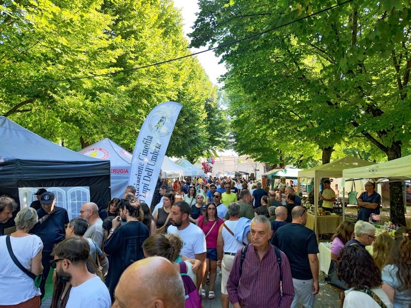 Fiere di San Bartolomeo: una partecipata due giorni tra zootecnia e tradizione 7 Fiere di San Bartolomeo: una partecipata due giorni tra zootecnia e tradizione - Eventi | TTV.it