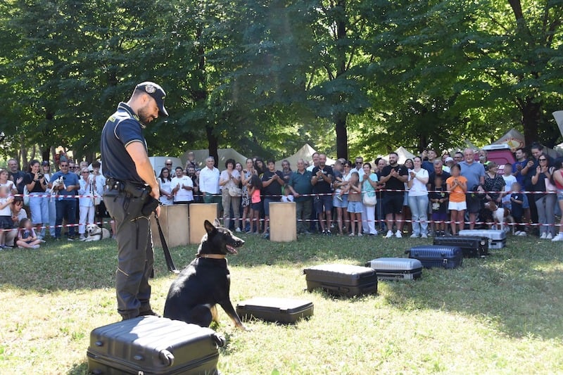 Fiere di San Bartolomeo: una partecipata due giorni tra zootecnia e tradizione 6 Fiere di San Bartolomeo: una partecipata due giorni tra zootecnia e tradizione - Eventi | TTV.it