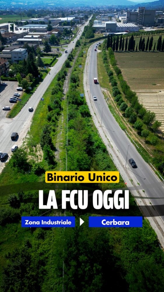 Category BINARIO UNICO template - | TTV.it