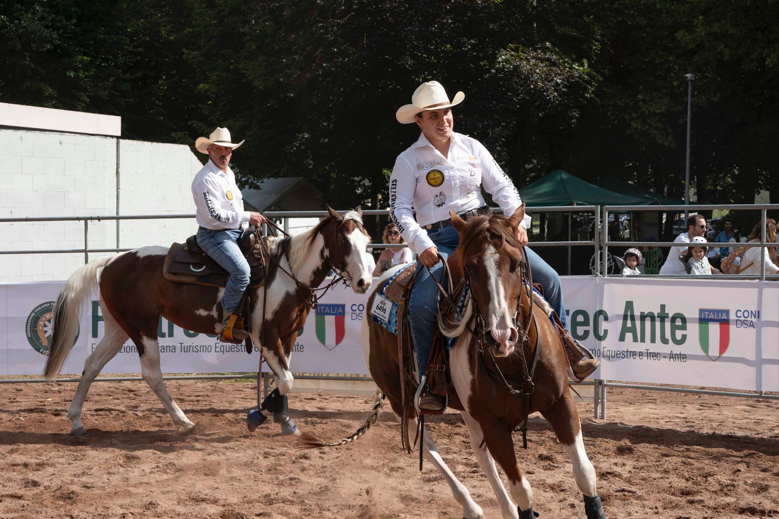 La Mostra del Cavallo torna al parco Langer: ecco la 56ª edizione 3 La Mostra del Cavallo torna al parco Langer: ecco la 56ª edizione - Eventi | TTV.it