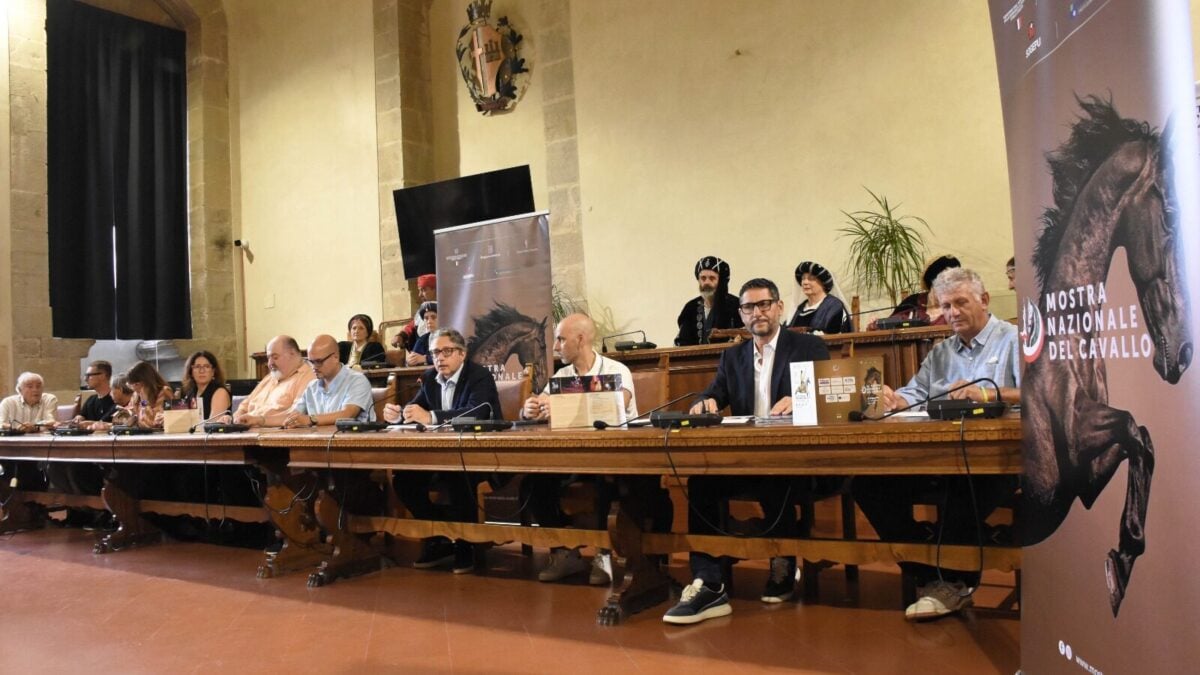 La Mostra del Cavallo torna al parco Langer: ecco la 56ª edizione 1 La Mostra del Cavallo torna al parco Langer: ecco la 56ª edizione - Eventi | TTV.it