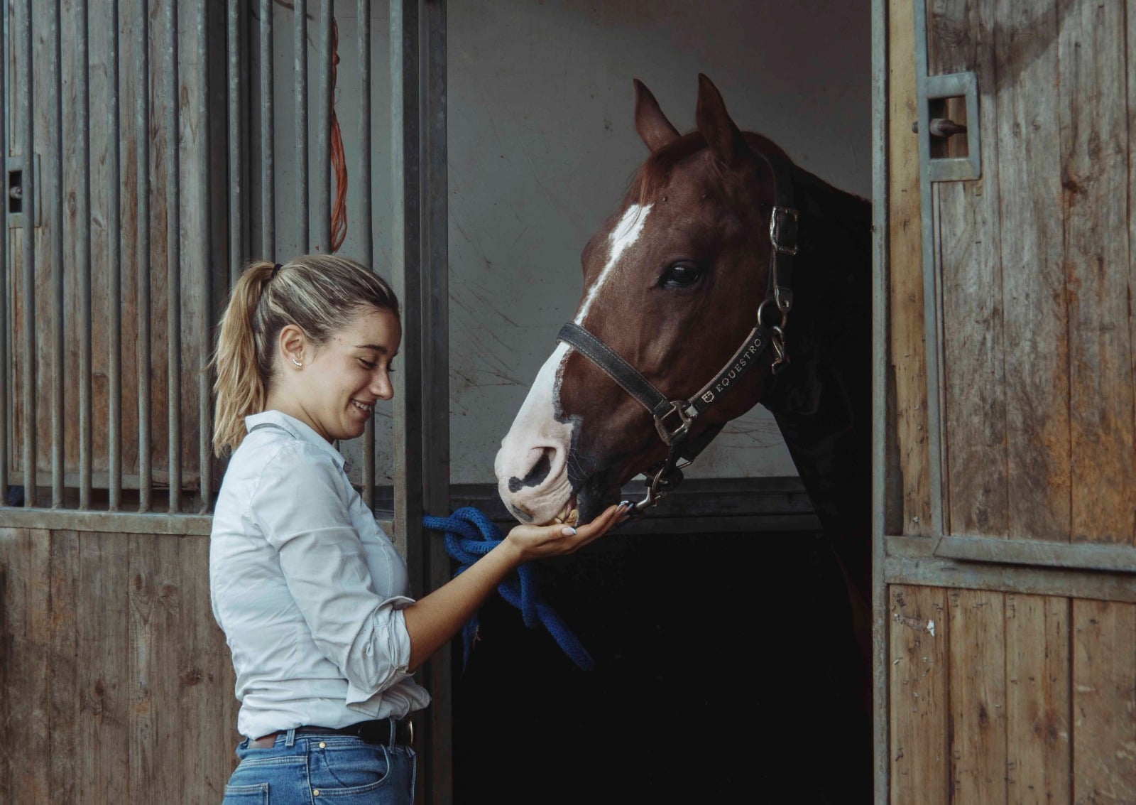 La Mostra del Cavallo torna al parco Langer: ecco la 56ª edizione 2 La Mostra del Cavallo torna al parco Langer: ecco la 56ª edizione - Eventi | TTV.it