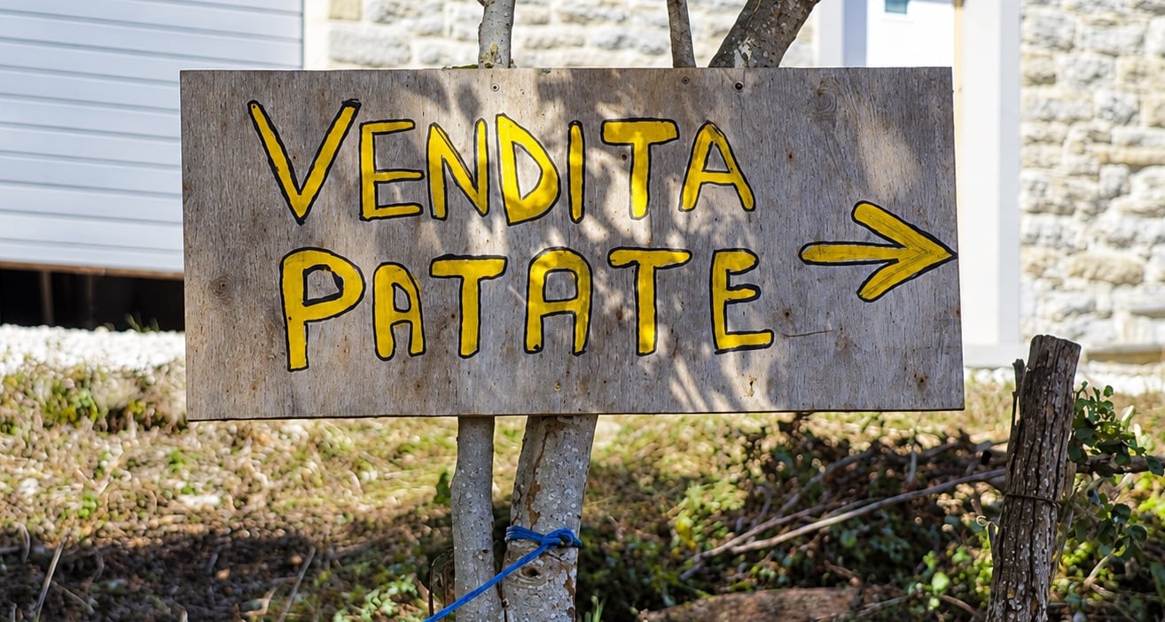 La patata bianca di Monteviale, un piccolo tubero per salvare la biodiversità 2 La patata bianca di Monteviale, un piccolo tubero per salvare la biodiversità - Ambiente | TTV.it